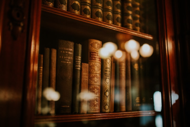 Courthouse columns – litigation